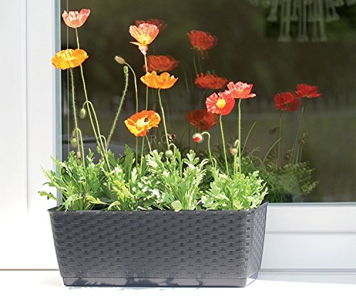 blumenkasten nachhaltig Blumenkasten Colorful – Industriestil