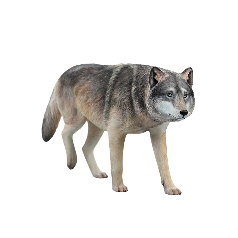 Amazon.com: WLNTDOLA 1:6 Scale Common Gray Wolf Model Animal