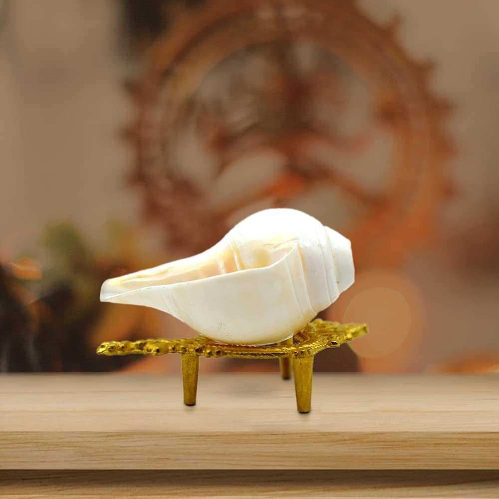 Vooli Original Pooja Shankh Stand Original Pure Brass Pittal 1