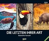 bedrohte tierarten in australien liste Hervorragende Druckqualität bis ins Detail Neutrales Kalendarium für alle Länder FSC zertifiziertes Papier aus verantwortungsvollen Quellen Schickes passepartout Design für einen wertigen Anblick Ihres Wandkalenders