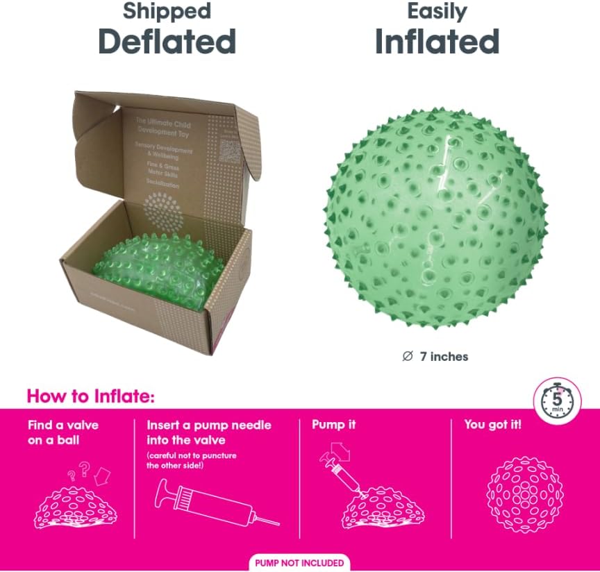 Miniatura 4 de Edushape La bola sensorial original para bebé, bola de bebé de 7 pulgadas que ayuda a mejorar las habilidades motoras gruesas para niños de 6 meses