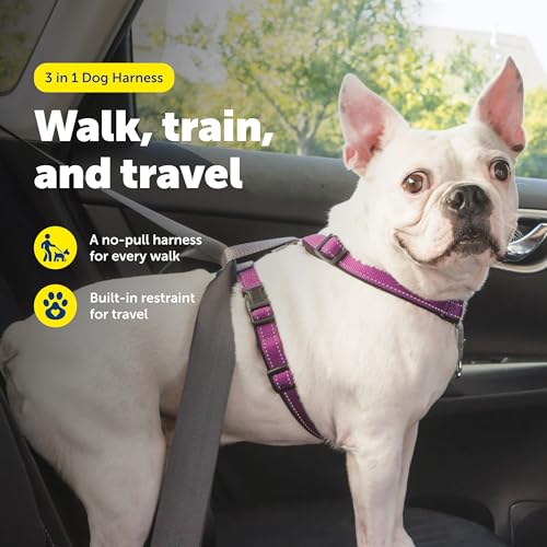 Image of PetSafe Plum 3-in-1 Harness, Small