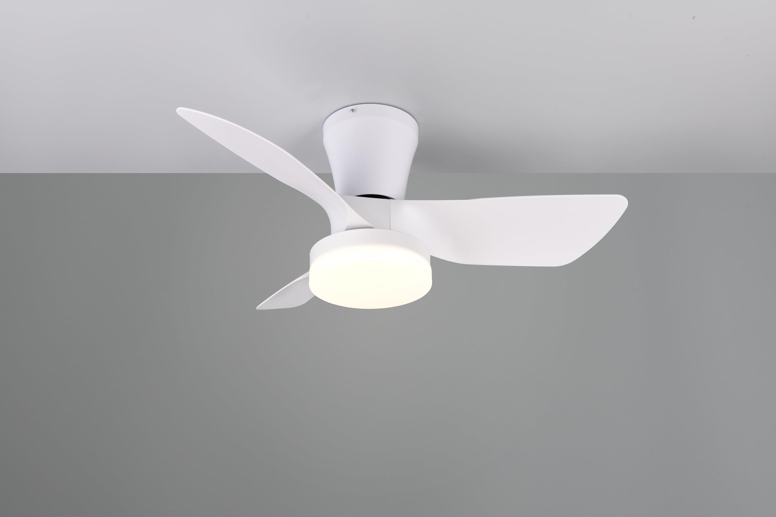 Reality Leuchten LED Deckenventilator mit Beleuchtung Randers R64412131, Kunststoff Weiß matt, 6 Geschwindigkeiten, Sommer- Winterbetrieb, Fernbedienung, Dimmer, Timer, Nachtlicht, Lichtfarbe regelbar |