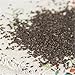 Plantago Herbs Asiatica Che Qian Hierba Verde Mejora La Vista Y Elimina La Flema Plátano Té Perfumado Natural Para La Diuresis Y La Hinchazón Imagen de Plantago Herbs Asiatica Che Qian Hierba Verde Mejora La Vista Y Elimina La Flema Plátano Té Perfumado Natural Para La Diuresis Y La Hinchazón