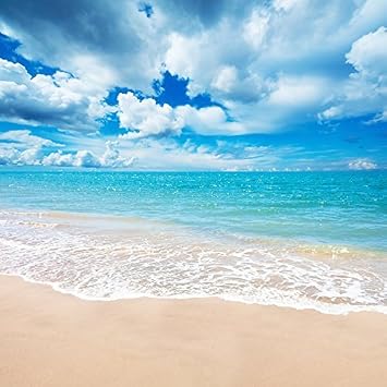 Amazon 2 5x2 5m砂浜の撮影の背景の夏の写真の背景 Fiona バックペーパー 背景布