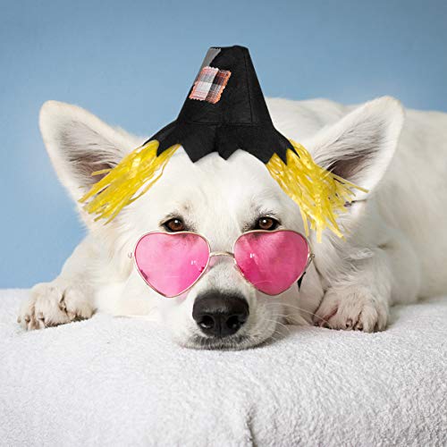 Sombrero Disfraz de Espantapájaros para Perro Medium POPETPOP miniatura 2