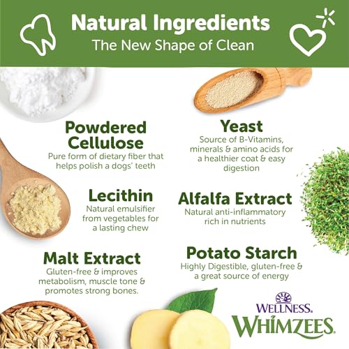 Image of Wellness WHIMZEES Daily Brushzees Dog Dental Treats, Natural Chews, Medium Size Stick, (7 Count)