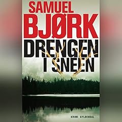 Page de couverture de Drengen i sneen