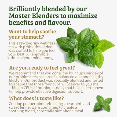 Image of Twinings Superblends Probiotics+ Peppermint & Fennel Herbal Tea, 250 Million CFUs per Cup, 18 Tea Bags (Pack of 2), Naturally Caffeine-Free, Enjoy Hot or Iced