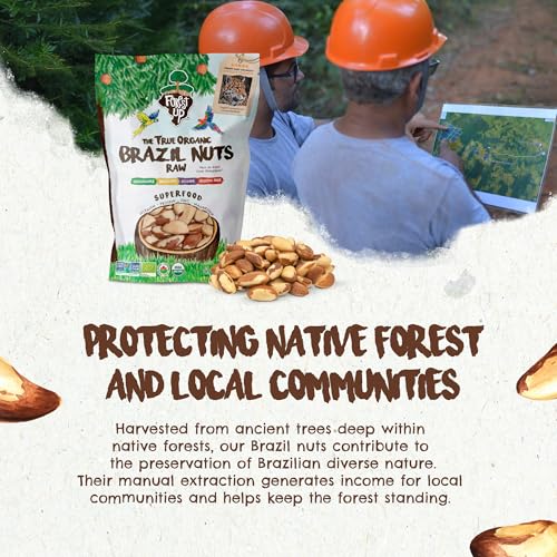 Image of Snack The True Organic Brazil Nuts 15 oz - Raw and Unsalted - Kosher - Healthy-Rich in Vegetable Protein - Harvested in Amazon Rainforest - Fresh, Vegan and Gluten Free - Forest Up