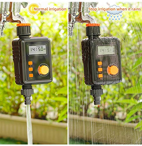 Minuterie d'eau électronique pour stopper l'irrigation en cas de pluie