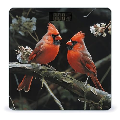 Báscula Digital de Cuerpo Cardinals Birds Fauna Wild miniatura 1
