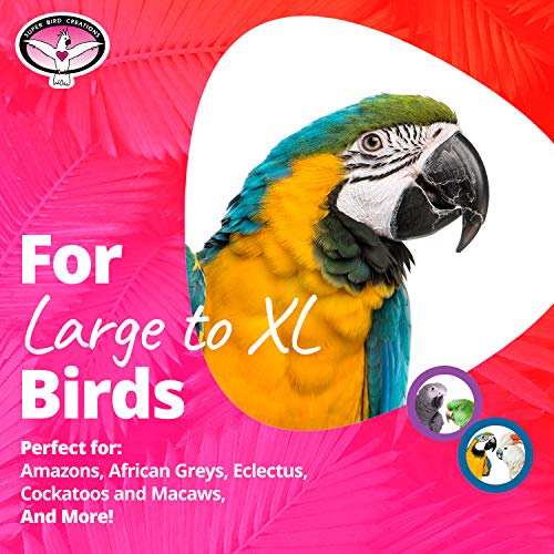 Jouet pour oiseau Beakasarus XL grand format coloré multi-texturé