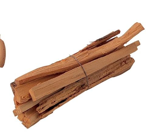 } ܂ |  dpi 茳{ ٗp