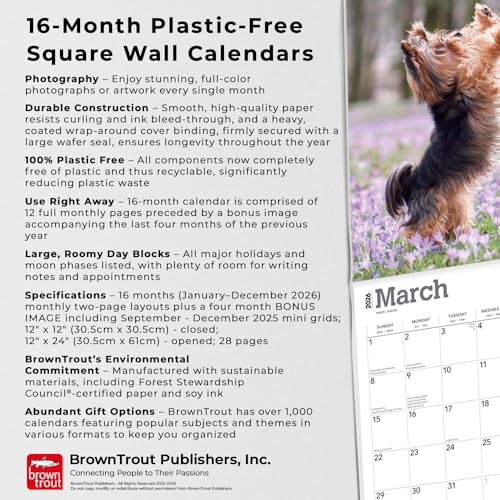 Yorkshire Terriers – Yorkshire Terrier – Yorkies 2026 – 16-Monatskalender: Original BrownTrout-Kalender [Mehrsprachig] [Kalender] (Wall-Kalender)