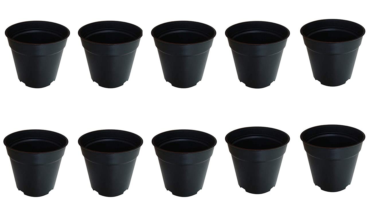 See full amazon price history chart for Naturally Green 20 pcs 6" Plastic Plants Nursery Seedlings Pot/Pots Flower Plant Container Seed Starting Pots Naturally Green 20 pcs 6" Plastic Plants Nursery Seedlings Pot/Pots Flower Plant Container Seed Starting Pots (B093377BN5) Amazon Price History, Amazon Price Tracker
