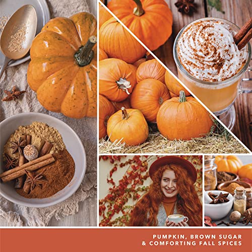 Yankee Candle Studio Medium Candle, Spiced Pumpkin, 10 oz: Long-Lasting, Essential-Oil Scented Soy Wax Blend Candle | 40-65 Hours of Burning Time - Thumbnail 3