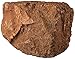 sera Rock Red Lava S/M 8 - 15 cm - Dunkelroter Lavastein mit poröser Oberfläche