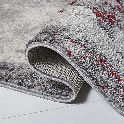 Tapete decorativo SAFAVIEH 3' x 5' rojo y gris miniatura 4