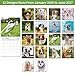 Wall Calendar 2026-2027, 18 Month Large Desk Golden Retriever Calendar from January 2026 to June 2027 14.5