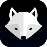 Increasing difficulty 🦊 What, The Fox? - Brain Improvement Game