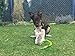 Dingo Hundespielzeug Kunstfell mit Quietsch Pelz Grün Bungee-Griff Beisswurst Mop Hundetraining Spiel mit Hund zum Tauziehen Fleece 15584-2