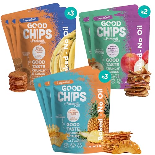 Baked Apple, Pineapple & Sweet Plantain Chips/Crisps by GOOD CHIPS!