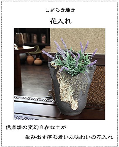 Amazon.co.jp: Shigaraki Ware Satsuki Vase [ha-0173] Vase, Vase