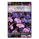 Sow Right Seeds - Cascade Blend Lobelia Seed for Planting Flower Garden