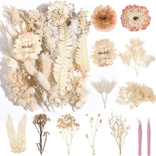 La mejor selección de Hojas secas - los preferidos. 48 Comkrivy Flores secas Reales, 100% Naturales, Colores Variados, Hojas secas para Manualidades, Velas, Resina, joyería, Colgantes, Tarjetas, Scrapbooking