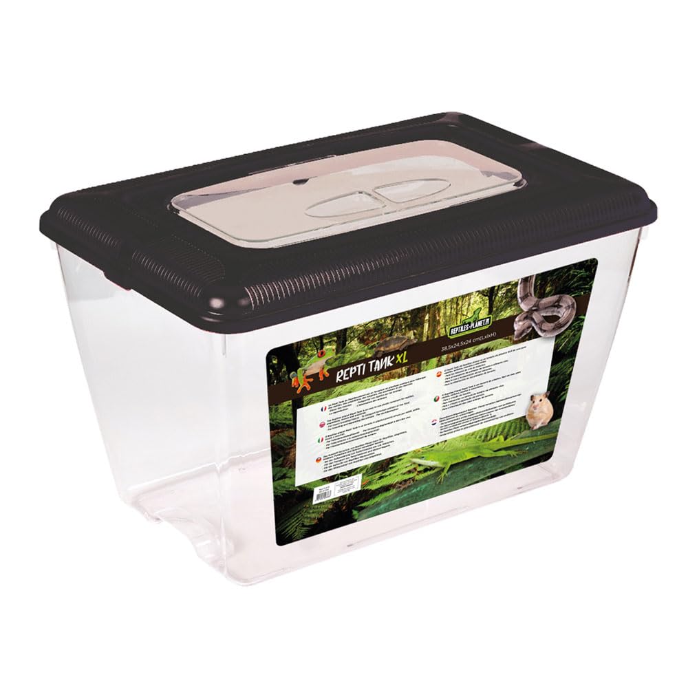 Terrarium en plastique transparent Repti Tank XL avec aération supérieure