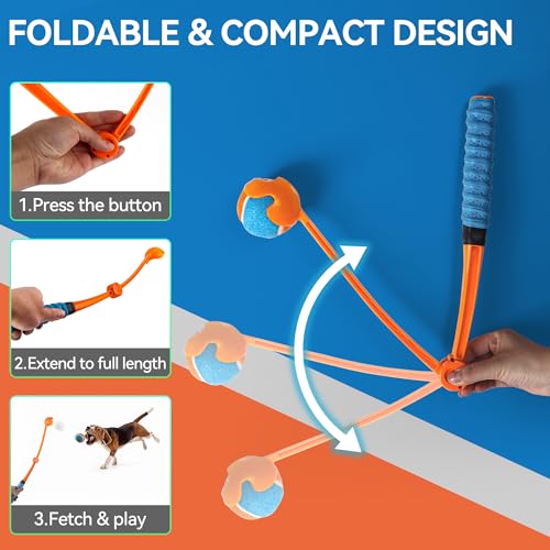 ALL FOR PAWS 63CM ballwurfmaschine Hund | Hundeballschleuder | Klappbarer Ballwerfer mit Tennisball-Griff, inkl. 6.5CM Ball(2.5'') – für Apportiertraining & Outdoor-Spiele