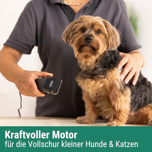Agrarzone Edition Wahl 1400 Schermaschine Hund mit Aufsteckkamm-Set - Leise Tierhaarschneidemaschine Moser für kleine Hunde wie Yorkshire Terrier - Ergonomisch & langlebig