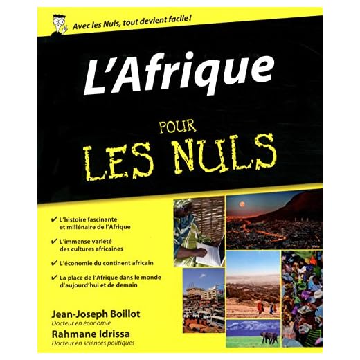 L'Afrique pour les Nuls