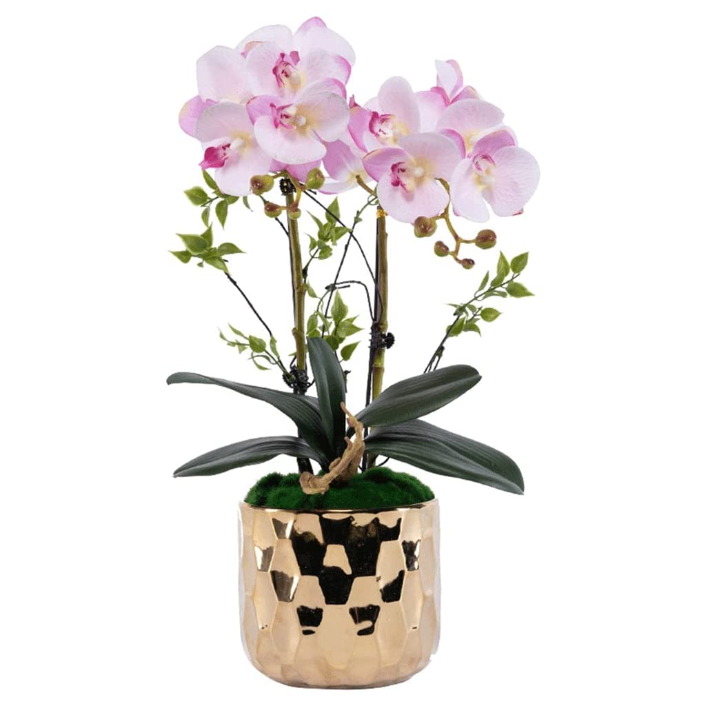XDLEDMKIZ Orchid Artificial Flowers Potted Faux Orchids Artificial Phalaenopsis Flowers in Gold Porcelain Pot Durable for All Seasons Artificial Flowers natural look