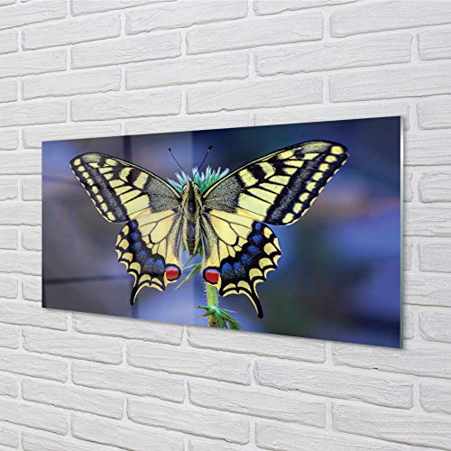 Crédence adhésive 120x60cm en verre trempé papillon pour protection murale de cuisine