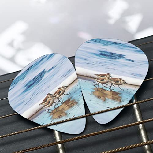 Shorebird Sandpipers Running Beach Lot de 12 médiators pour guitare acoustique électrique - Les Beatles, Paul McCartney, John Lennon, RIngo Starr, George Harrison Shorebird Sandpipers Running Beach Lot de 12 médiators pour guitare acoustique électrique – Image 8