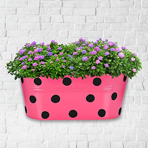Trendy home Home Black Dotted Oval Shape Metal Flower Pot for Hanging in Balcony Plants Garden Decor (Pack of 3) Multicolor