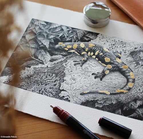 rOtring Isograph S0699370 Technisches Stifte-Set & Bleistift College-Set | 3 Stifte (0,20 mm, 0,30 mm, 0,50 mm) und Druckbleistift (0,5 mm) | Zubehör mit kompaktem Universalzirkel