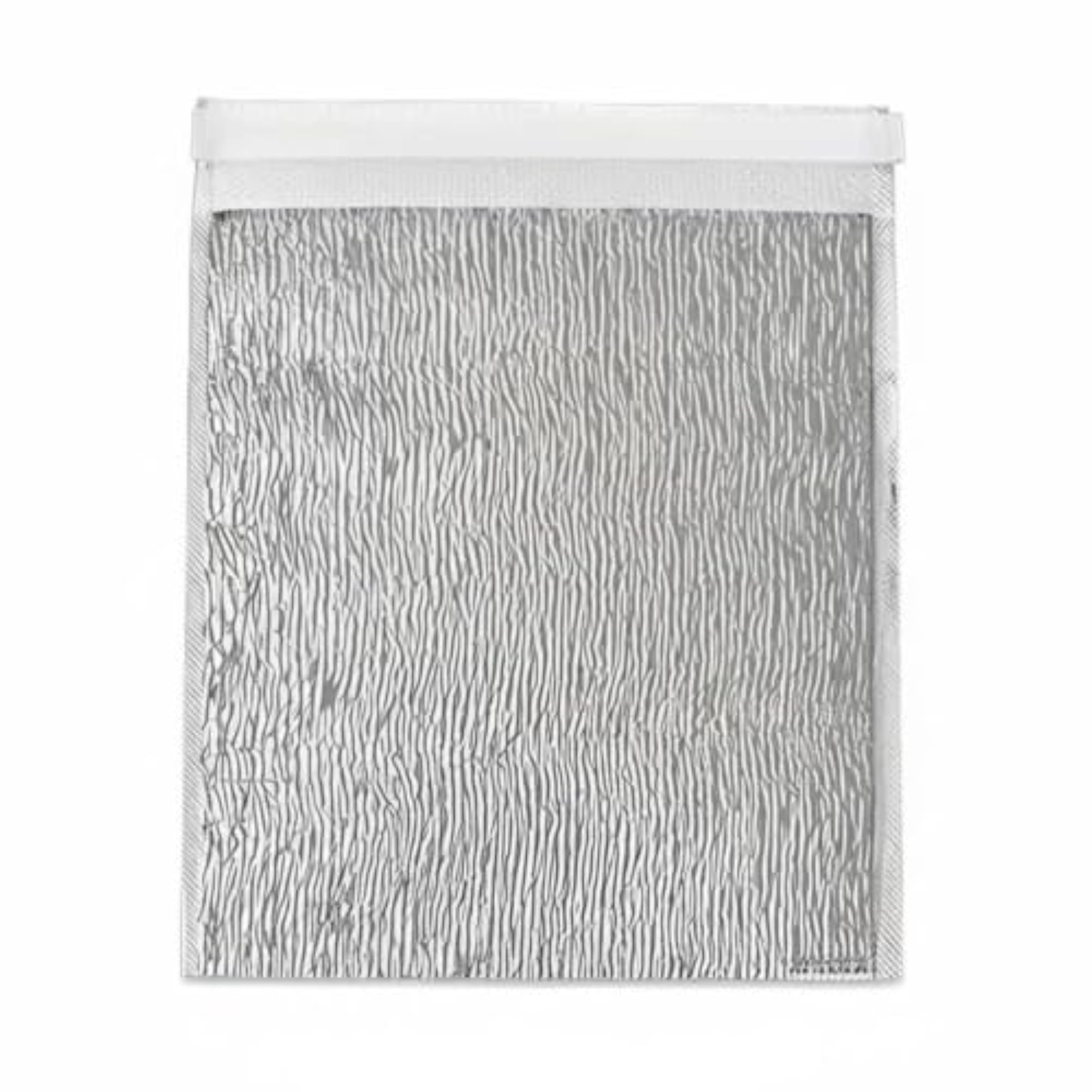 Insulated Delivery Bag for Takeout and BBQ