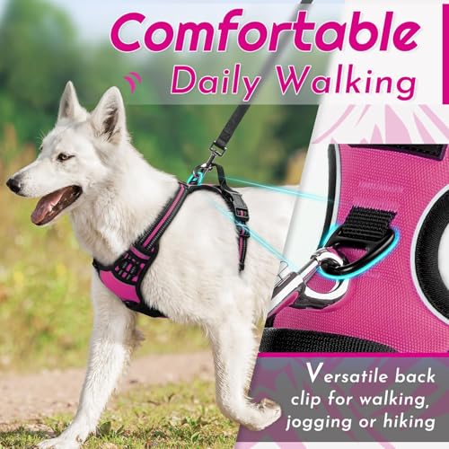 Image of Eagloo Dog Harness for Small Dogs, No Pull Pet Vest with 2 Leash Clips