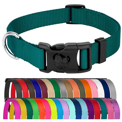 Country Brook Petz - Everyday Nylon Dog Collar for Large, Medium, and Small Dogs and Puppies - for Everyday Use in 30+ Colors (Small, 3/4 Inch Wide, Teal)