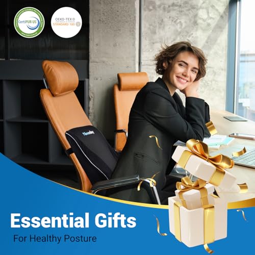 Lumbar Support Pillow for Office Chair Car, Gaming Chair Lower Back Pain Relief Memory Foam Cushion with Greeting Card,3D Mesh Cover Ergonomic Back Rest, Birthday Gift for Dad,Stocking Stuffers