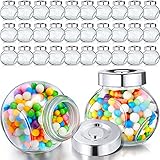 30 Pcs 3.4 oz Small Glass Jars with Lids Mini Candy Jars Tiny Mason Jar Candy Containers for Party Favors Wedding Gifts Spice Honey Sugar Herbs