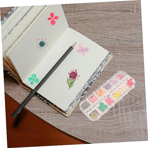 Kit DIY de flores secas para resina y manualidades miniatura 6