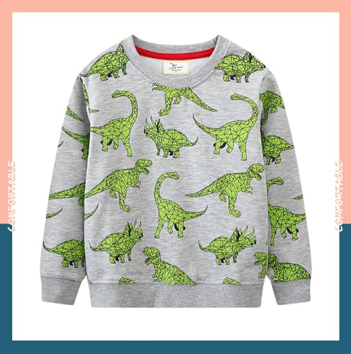 Boys Sweatshirts Casual Sweatshirts Cotton Sweatshirts Long Sleeve T-shirts Crew Neck Cartoon Tops for Boys-433
