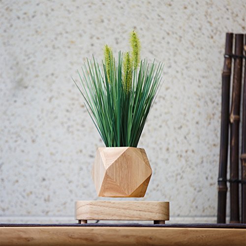 WLWWY Frasco De Levitación, Madera Magnética Levitating Air Bonsai S
