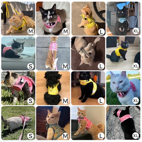 BINGPET Cat Harness and Leash Set, Escape Proof and Adjustable, Large | Step-in Vest, Lightweight Soft Breathable Mesh, Hook & Loop, Easy Control for Medium & Large Cats Walking Travel - Image 6