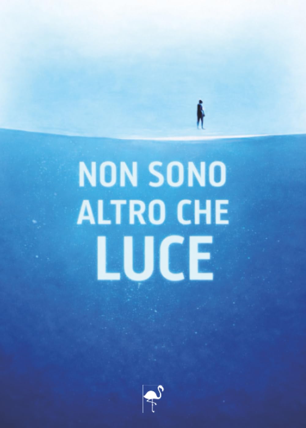 Non sono altro che luce