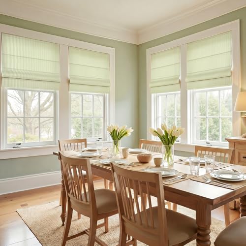Image of TWOPAGES No Drill Cordless Farmhouse Ticking Stripe Roman Shades Roman Blinds for Windows, Custom Made Light Filtering Blackout Blinds Shades for French Door, Olivine Pinstripe, 1 Piece